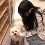 阳光电源：储能行业首选品牌的实...